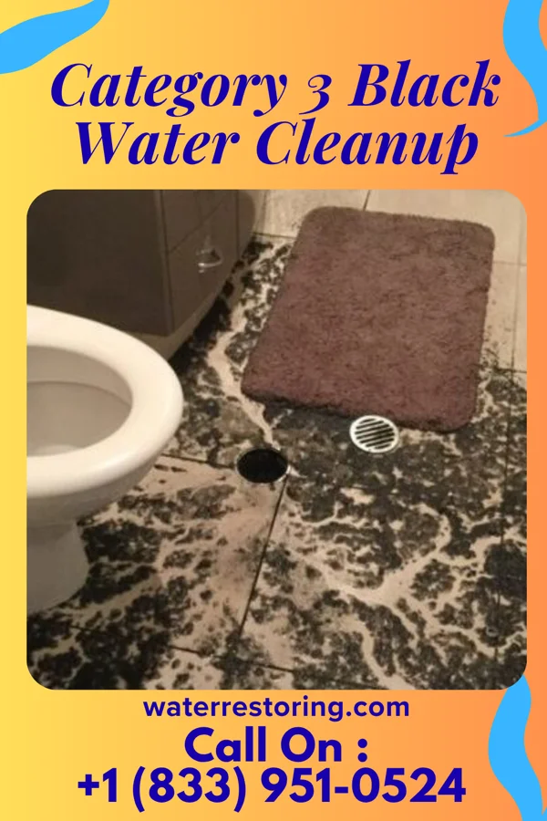 Category 3 Black Water Cleanup in Oak Grove, MN