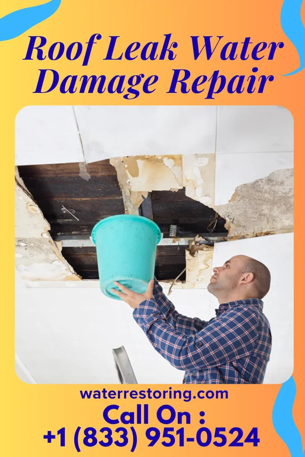 Roof Leak Water Damage Repair in Oak Grove, MN