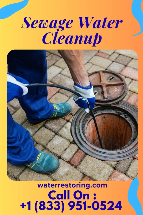 Sewage Water Cleanup in Oak Grove, MN